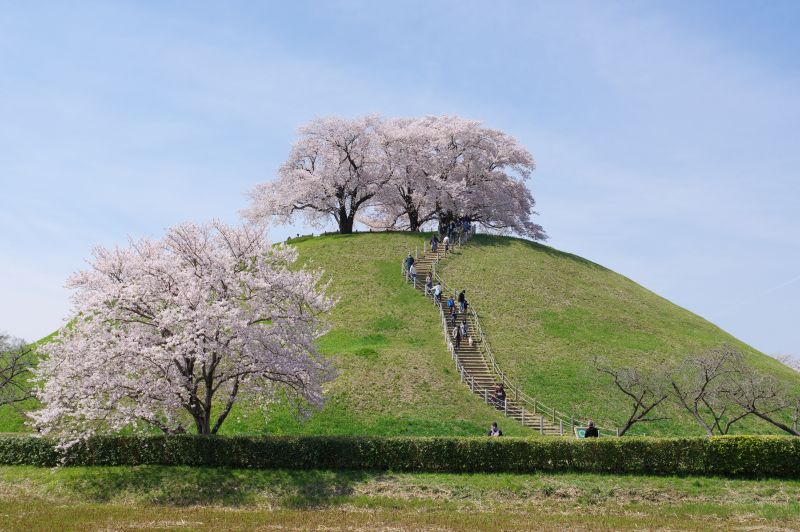 さきたま古墳公園