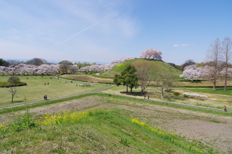 さきたま古墳公園