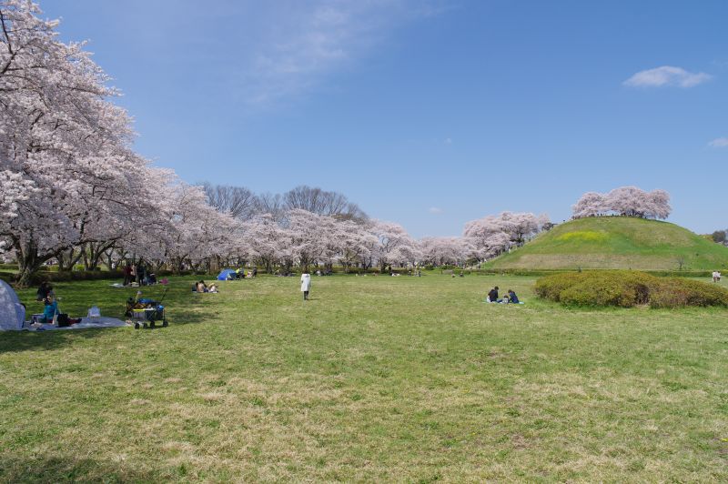 さきたま古墳公園