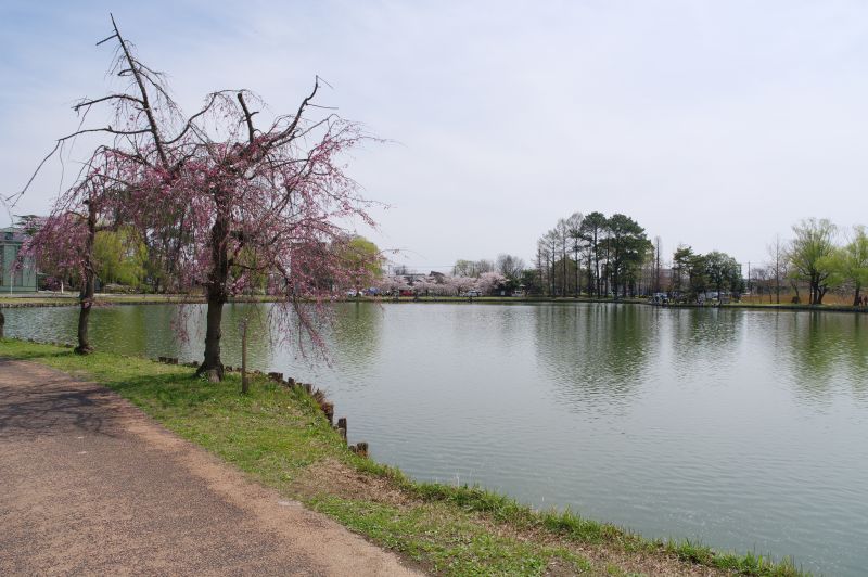 水城公園