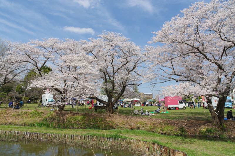 水城公園