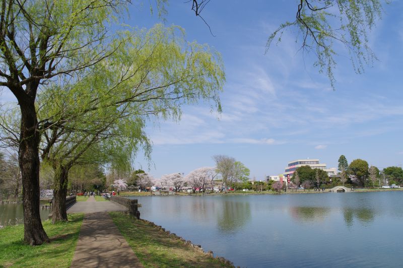 水城公園