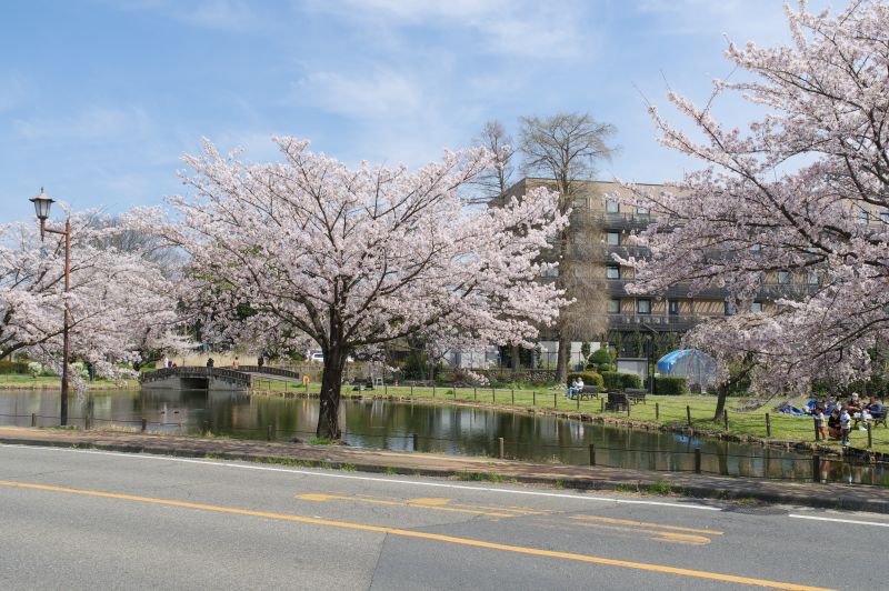 水城公園