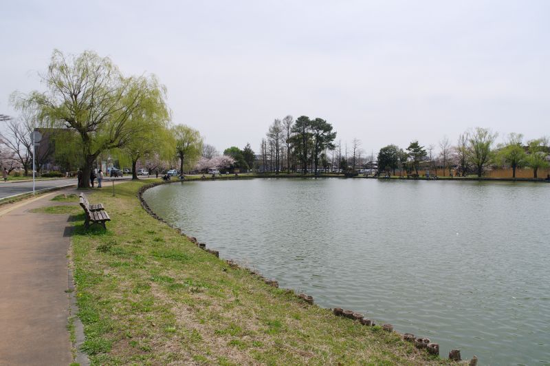 水城公園