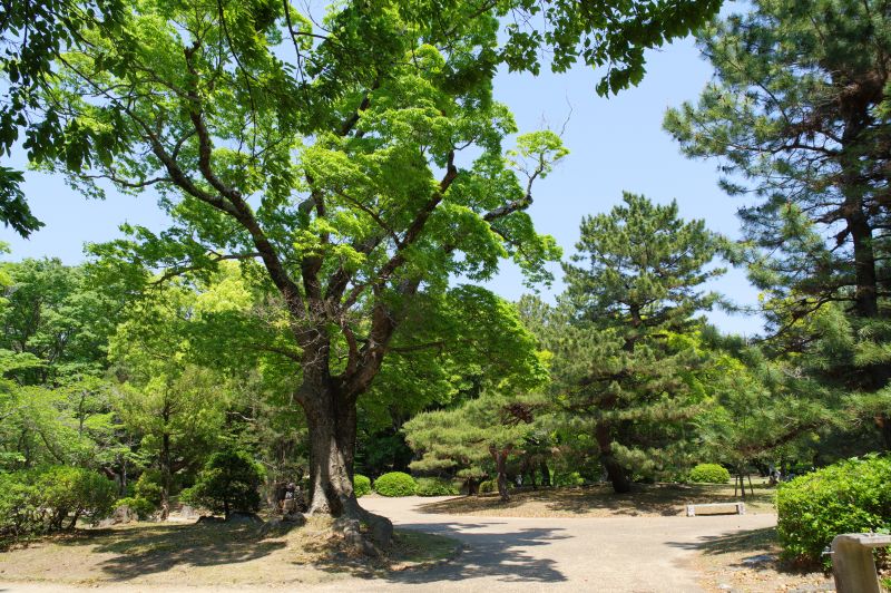 豊橋公園・吉田城