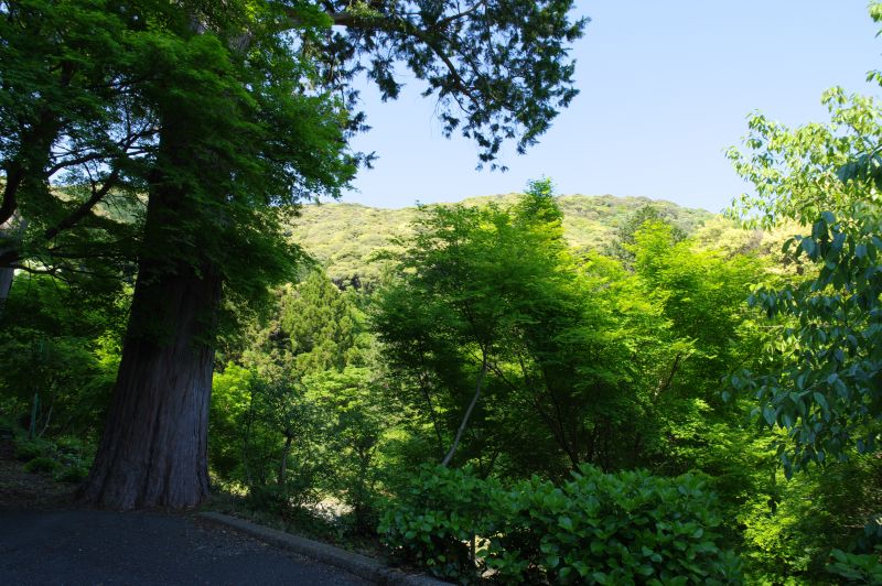 普門寺