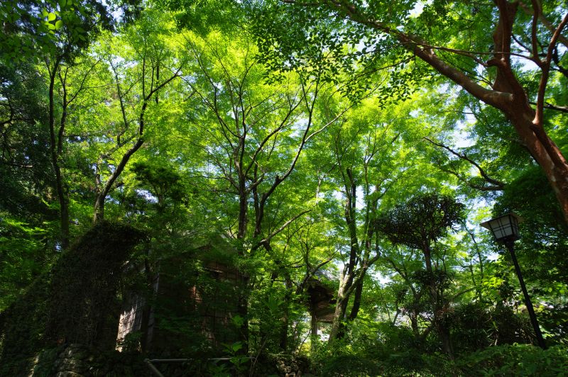 龍潭寺