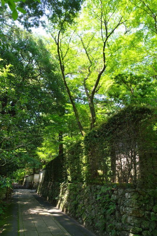 龍潭寺