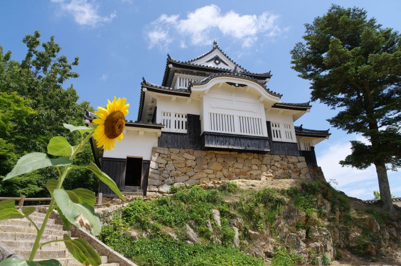 備中松山城・天守とひまわり