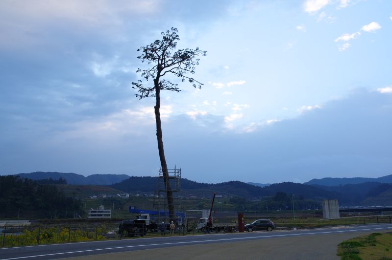 陸前高田・奇跡の一本松