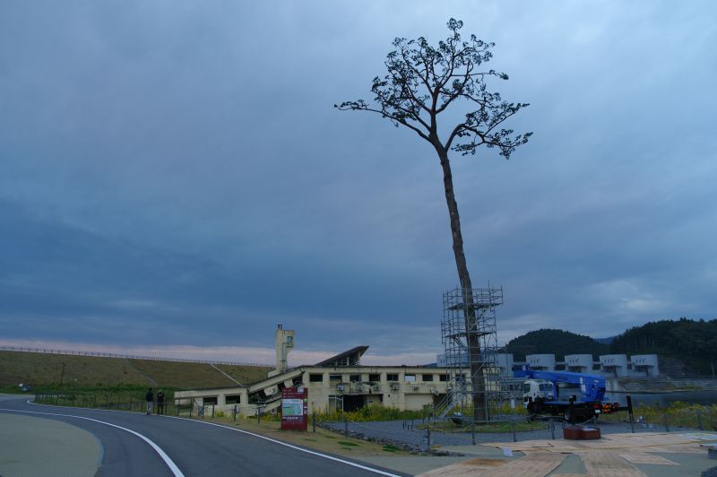 陸前高田・奇跡の一本松