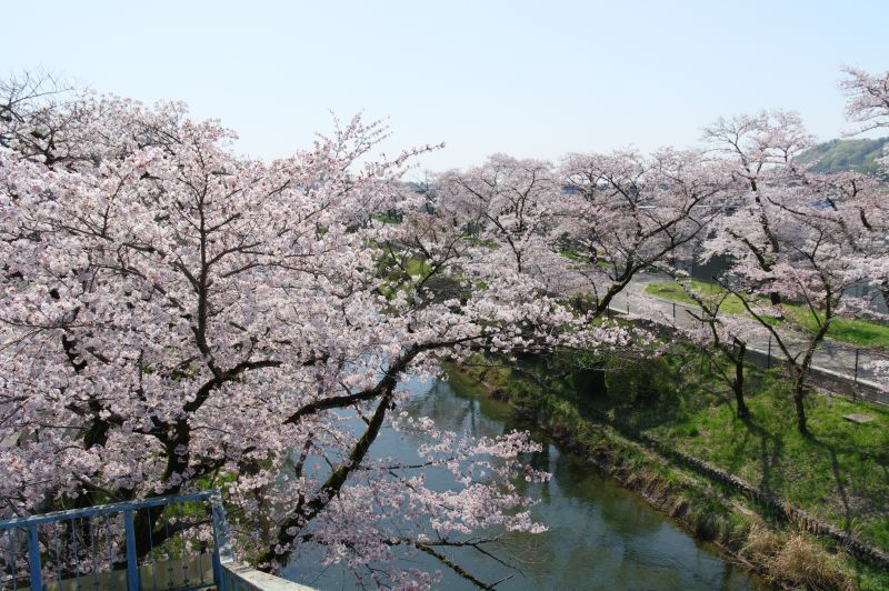 羽村橋の歩道橋より