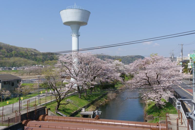 羽村橋の歩道橋より