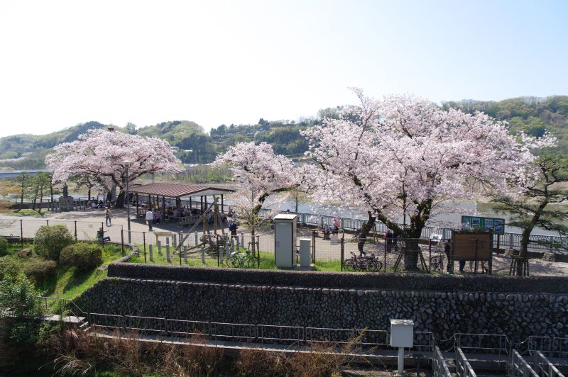 羽村堰