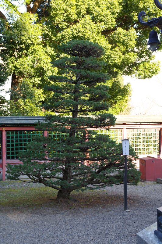 志波彦神社