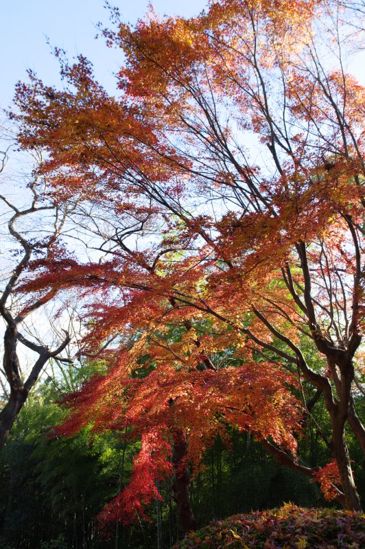 鹽竈神社東参道