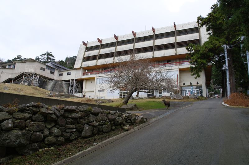 金華山黄金山神社へ