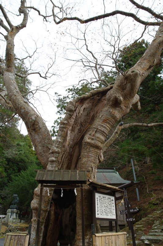 金華山黄金山神社から下山