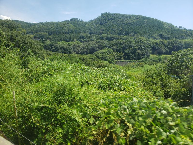 わたらせ渓谷鐵道・大間々～水沼