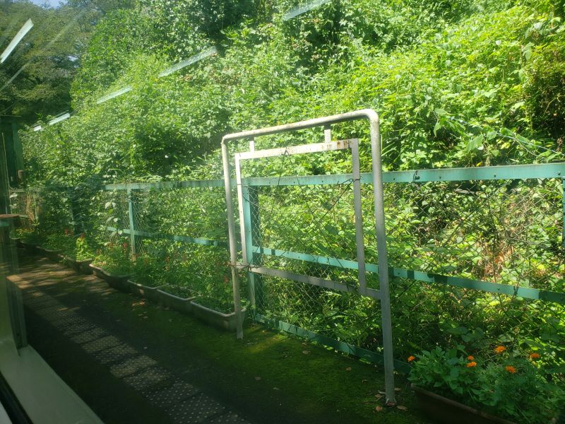 わたらせ渓谷鐵道・大間々～水沼