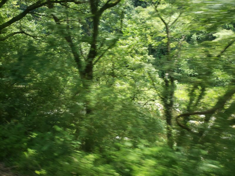 わたらせ渓谷鐵道・水沼～神戸