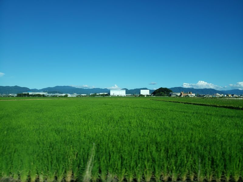 彦根城から近江八幡へ