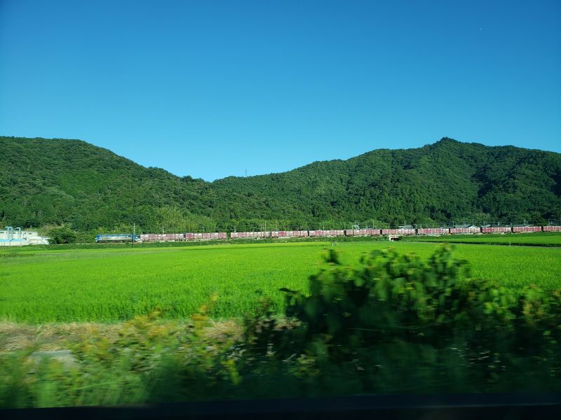 彦根城から近江八幡へ