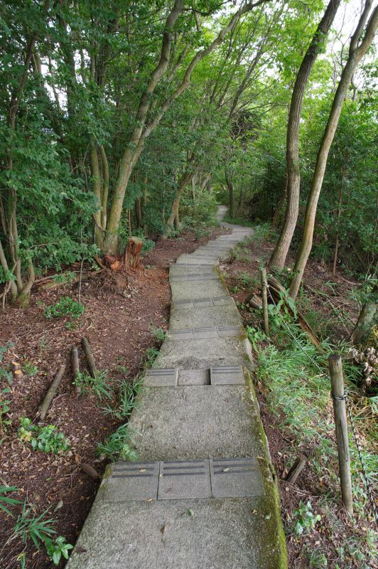 八幡山・出丸址