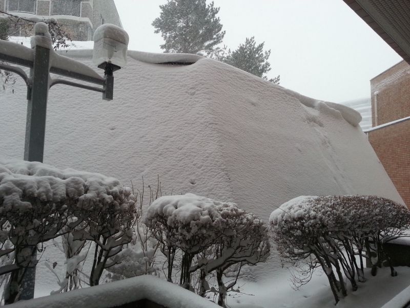 大雪の演奏会の会場