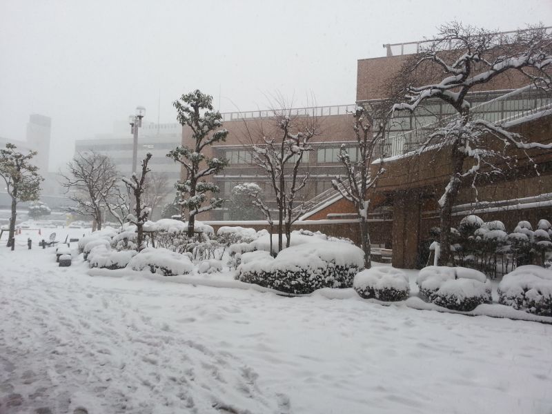 大雪の演奏会の会場