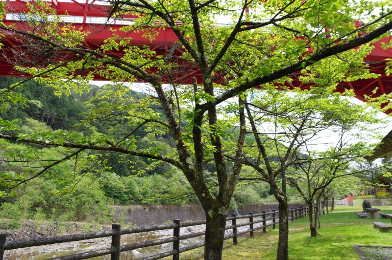 通洞大橋・通洞公園