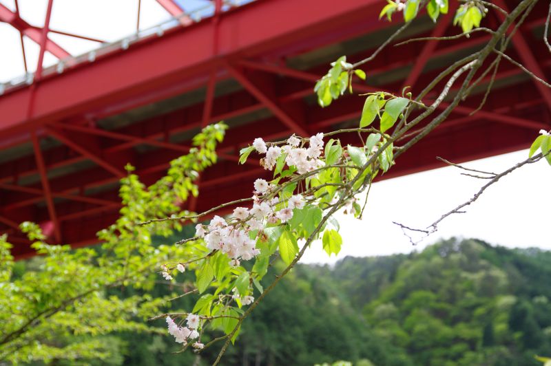 通洞大橋・通洞公園