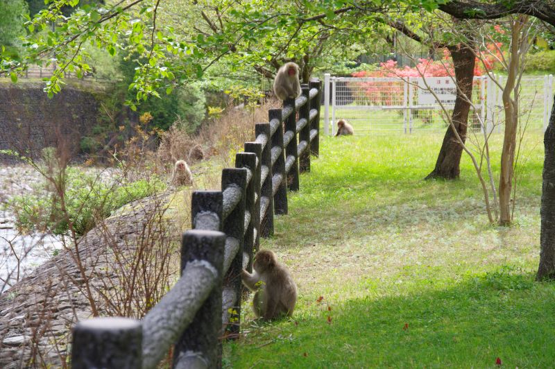 通洞大橋・通洞公園