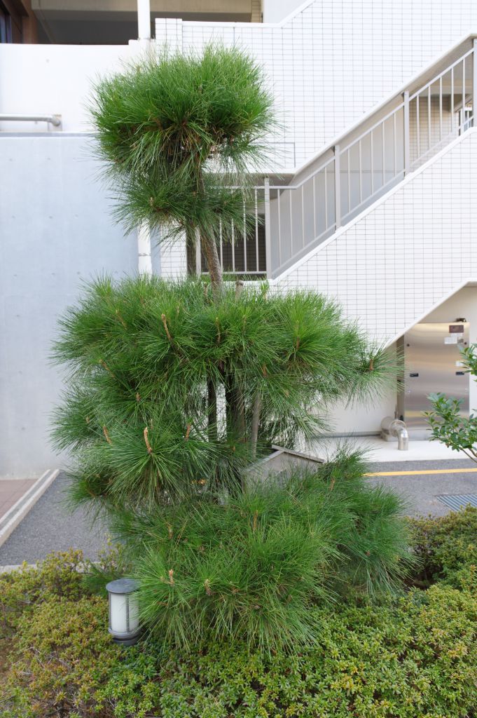 品海公園