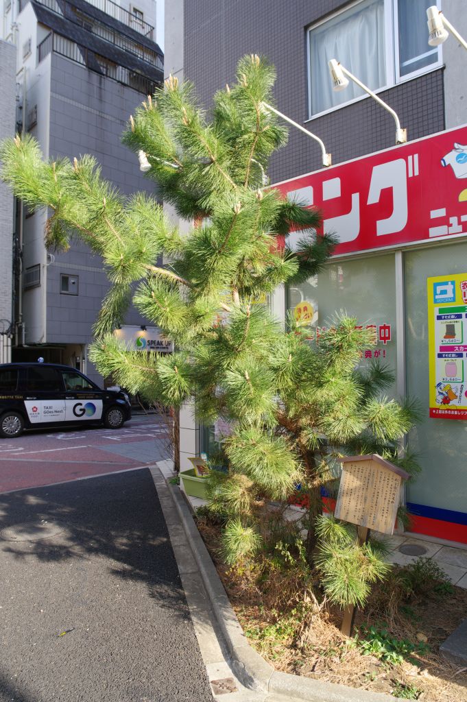 旧東海道・北品川宿（新馬場駅付近）