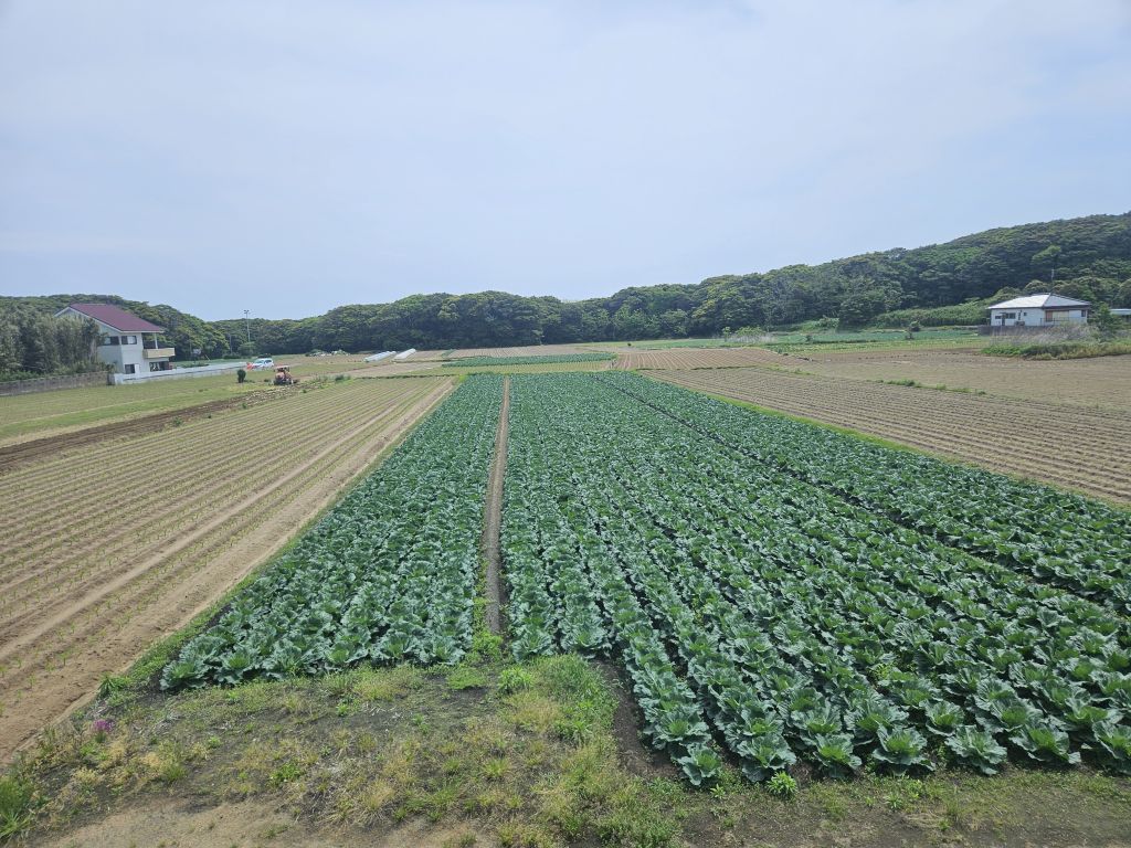 銚子電鉄・笠上黒生駅の先のどこか