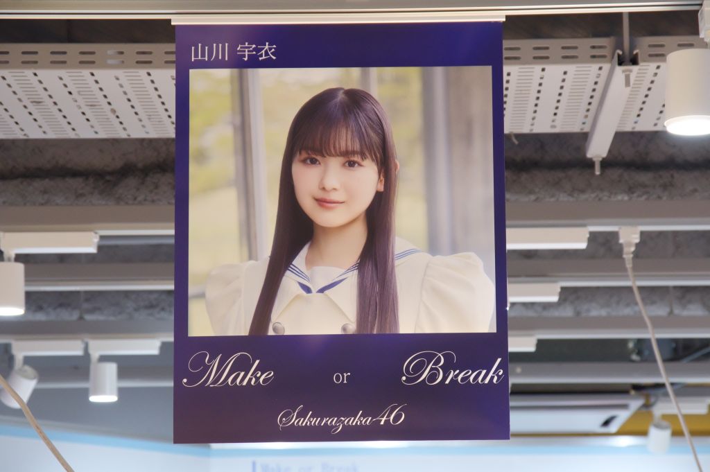 山川宇衣・シブツタパネル展