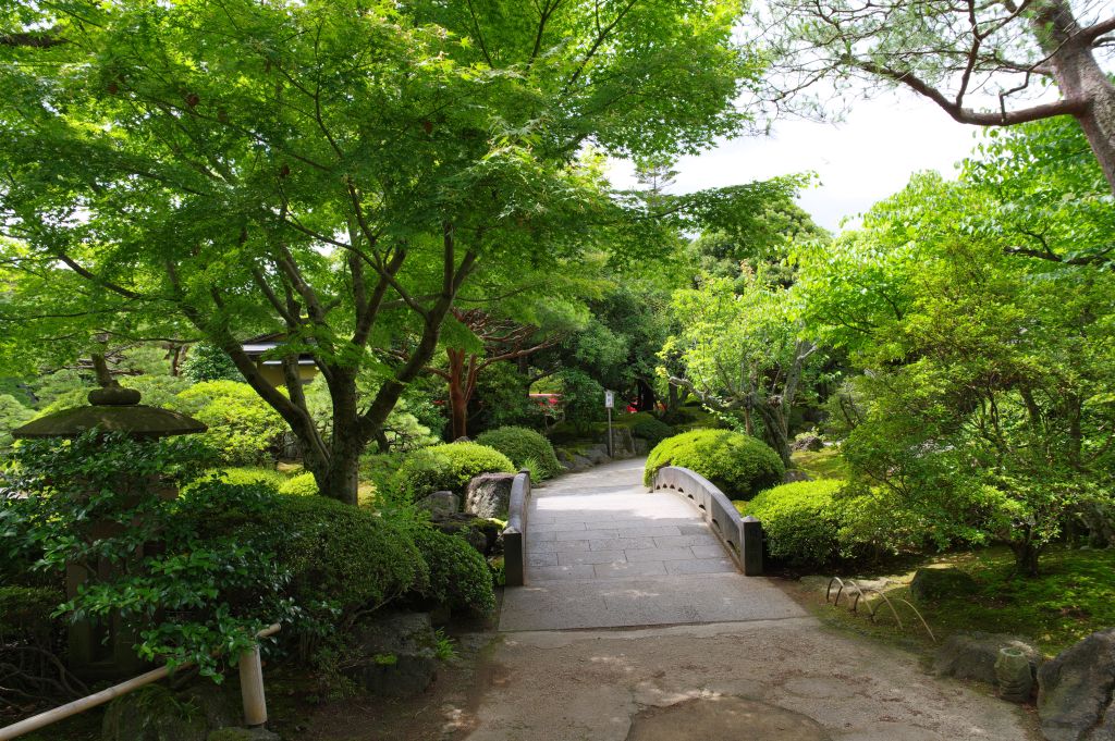 由志園・庭園・緑の小道と小橋