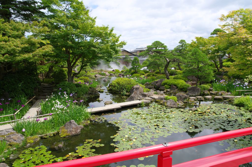 由志園・庭園・橋の上から水辺の植物