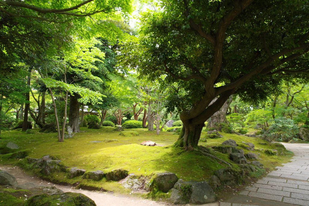 由志園・庭園・苔と緑