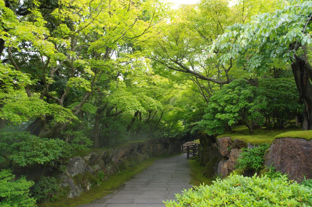 由志園・庭園・岩間の緑のアーチ