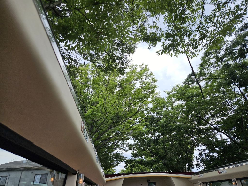 オープンバス・緑のアーチ