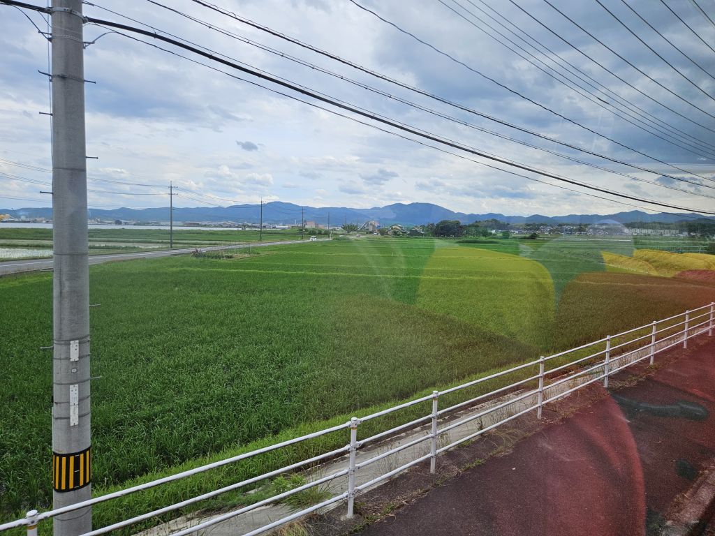 オープンバス・田園地帯