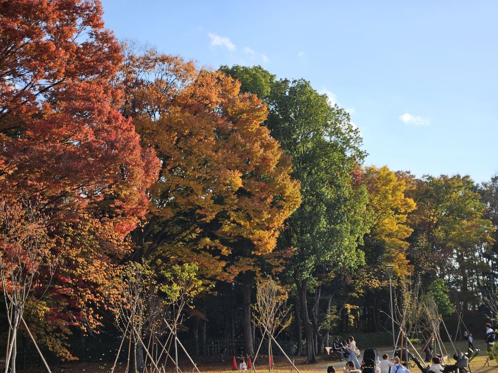 気分転換に行った・紅葉の公園