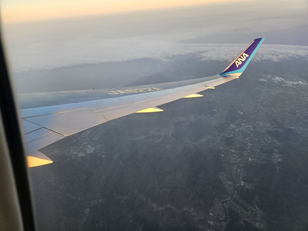 飛行機からの景色・すぐ東海岸が見える