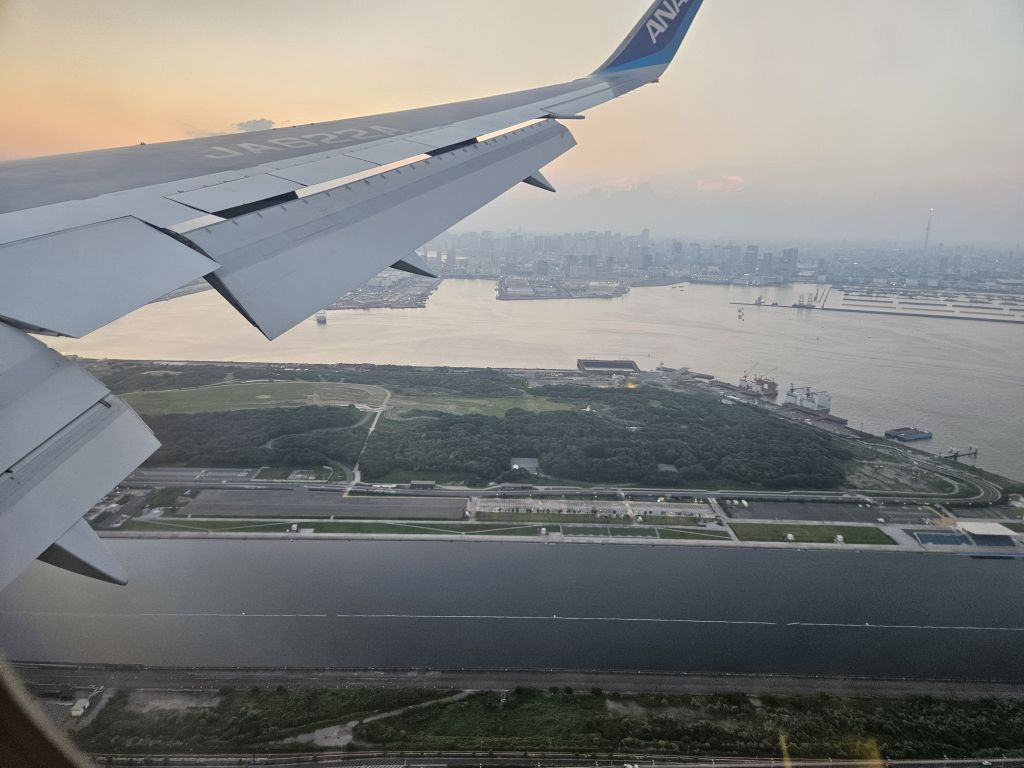飛行機からの景色・海の森