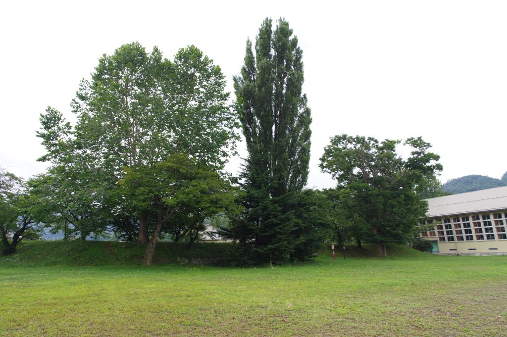 龍岡城・城内の広場左