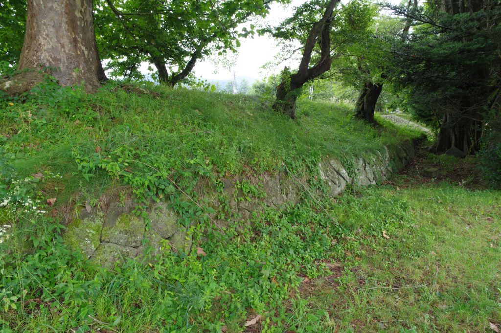 龍岡城・土塁と石垣
