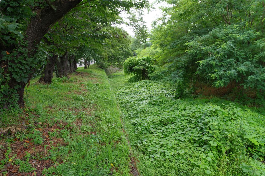 龍岡城・校舎裏の堀