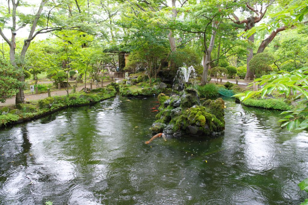 小諸城(懐古園)・鯉がいる池